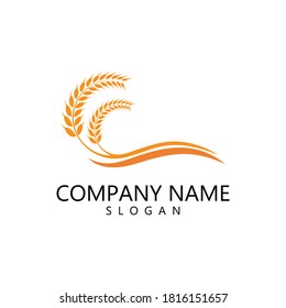 Agriculture wheat Logo Template vector icon design