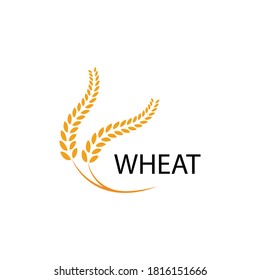 Agriculture wheat Logo Template vector icon design