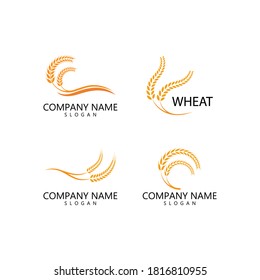 Agriculture wheat Logo Template vector icon design