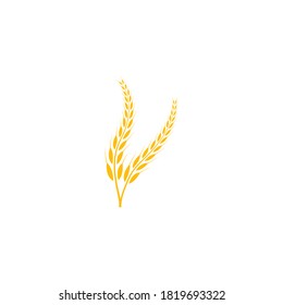 Agriculture wheat Logo Template vector icon design