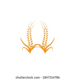 Agriculture wheat Logo Template vector icon design 