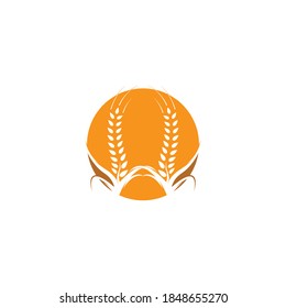Agriculture wheat Logo Template vector icon design 