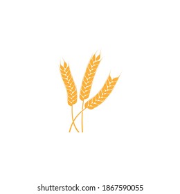 Vorlage für das Vektorsymbol von landwirtschaftlichen Weizen