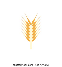 Agriculture wheat Logo Template vector icon design