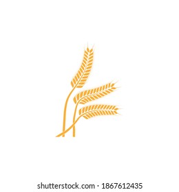 Vorlage für das Vektorsymbol von landwirtschaftlichen Weizen