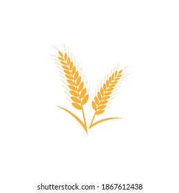 Vorlage für das Vektorsymbol von landwirtschaftlichen Weizen