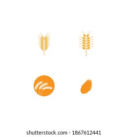 Agriculture wheat Logo Template vector icon design