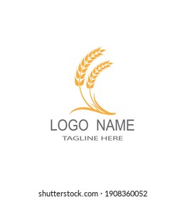 Agriculture wheat Logo Template vector icon design