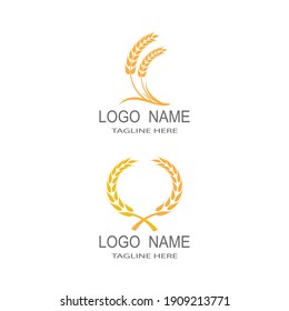Agriculture wheat Logo Template vector icon design