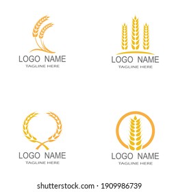 Agriculture wheat Logo Template vector icon design