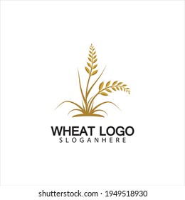 Agriculture Wheat logo template vector icon design