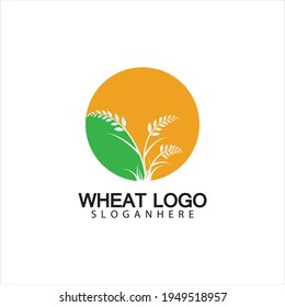 Diseño de iconos vectoriales de la plantilla del logotipo del trigo agrícola