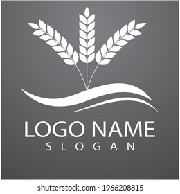 Agriculture wheat Logo Template vector icon design