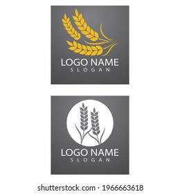 Agriculture wheat Logo Template vector icon design