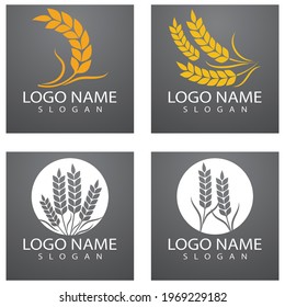 Agriculture wheat Logo Template vector icon design