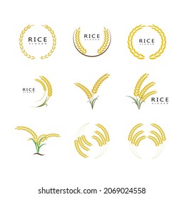 Agriculture wheat Logo Template vector icon design