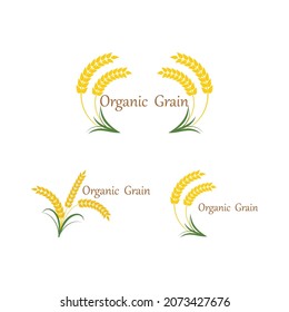 Agriculture wheat Logo Template vector icon design