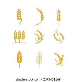 Agriculture wheat Logo Template vector icon design