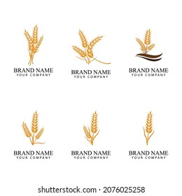 Agriculture wheat Logo Template vector icon design