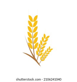 Diseño de iconos de la plantilla de logotipo de trigo agrícola