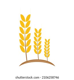 Agriculture wheat Logo Template vector icon design