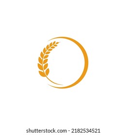 Agriculture wheat Logo Template vector icon