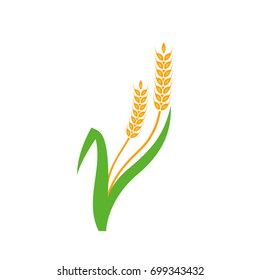Agriculture wheat Logo Template vector icon design