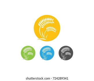 Agriculture wheat Logo Template vector icon design 