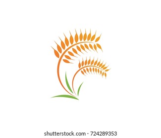 Agriculture wheat Logo Template vector icon design 