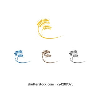 Agriculture wheat Logo Template vector icon design 