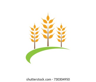 Agriculture wheat Logo Template vector icon design