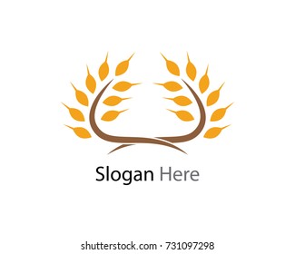 Agriculture wheat Logo Template vector icon design