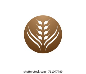 Agriculture wheat Logo Template vector icon design