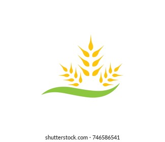 Agriculture wheat Logo Template vector icon design