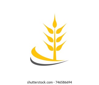 Agriculture wheat Logo Template vector icon design