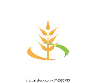 Agriculture wheat Logo Template vector icon design