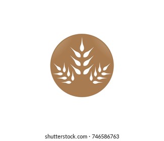 Agriculture wheat Logo Template vector icon design