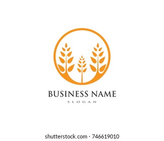 Agriculture wheat Logo Template vector icon design 