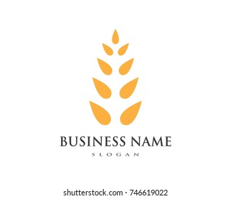 Agriculture wheat Logo Template vector icon design 