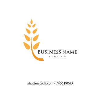 Agriculture wheat Logo Template vector icon design 