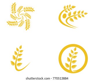 Agriculture wheat Logo Template vector icon design