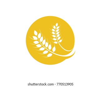 Agriculture wheat Logo Template vector icon design