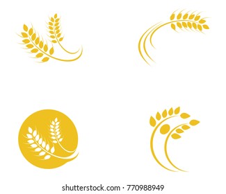 Agriculture wheat Logo Template vector icon design