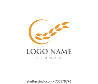 Agriculture wheat Logo Template vector icon design 