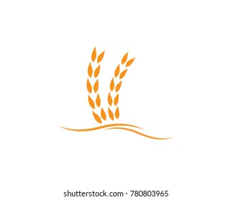 Agriculture wheat Logo Template vector icon design 