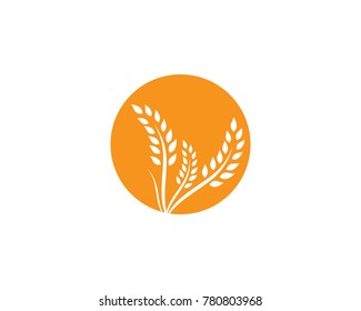 Agriculture wheat Logo Template vector icon design 