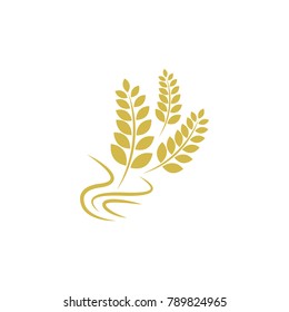 Agriculture wheat Logo Template vector icon design