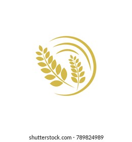 Agriculture wheat Logo Template vector icon design