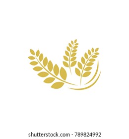 Agriculture wheat Logo Template vector icon design
