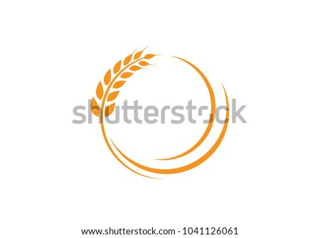 Agriculture wheat Logo Template vector icon design 